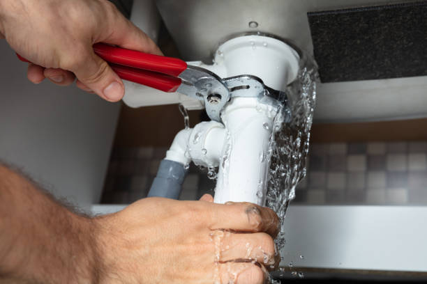 Best Professional water damage repair  in Raynham Center, MA