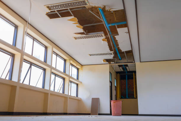 Best Water damage contractors near me  in Raynham Center, MA