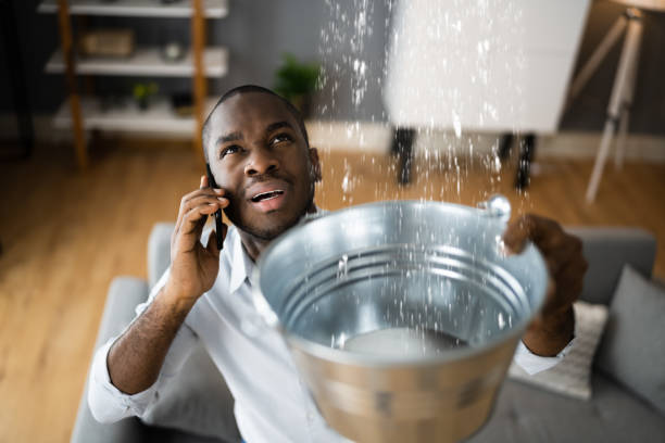 Best Water damage restoration insurance claims  in Raynham Center, MA