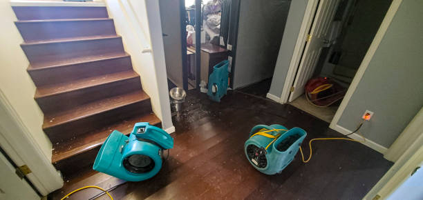 Best Ceiling water damage repair  in Raynham Center, MA