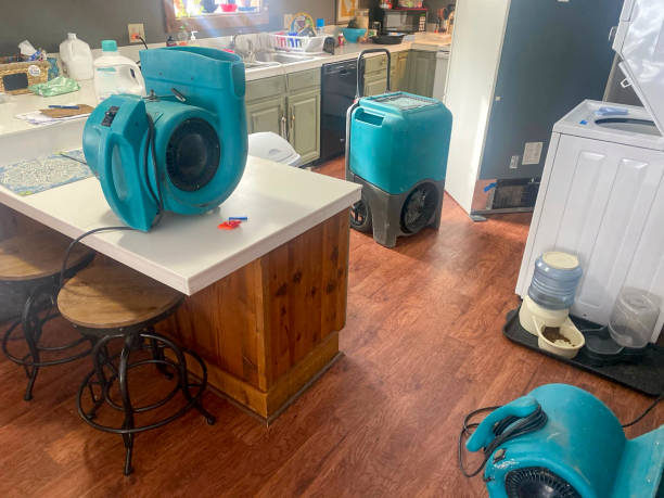 Reliable MA Water damage restoration Solutions