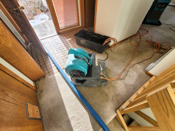 Best Flood damage cleanup  in Raynham Center, MA