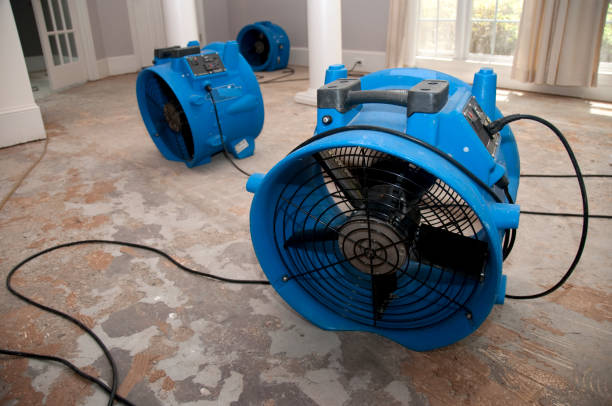 Best Flood damage cleanup  in Raynham Center, MA