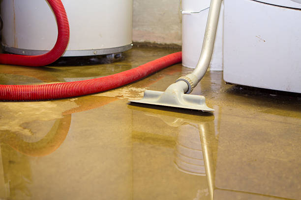 Best Local water damage restoration  in Raynham Center, MA