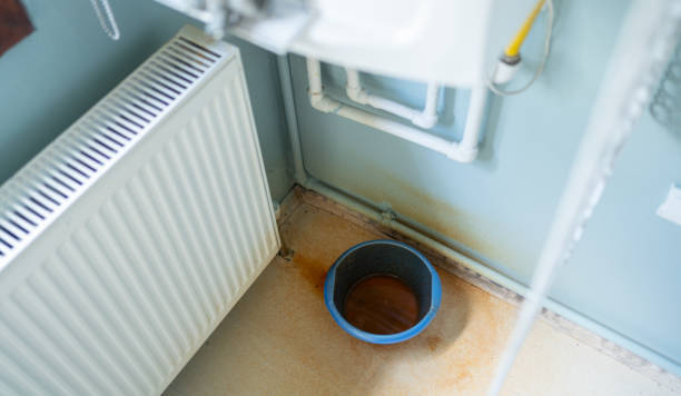 Best Water damage restoration services  in Raynham Center, MA