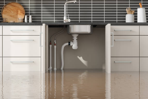 Best Water damage restoration near me  in Raynham Center, MA